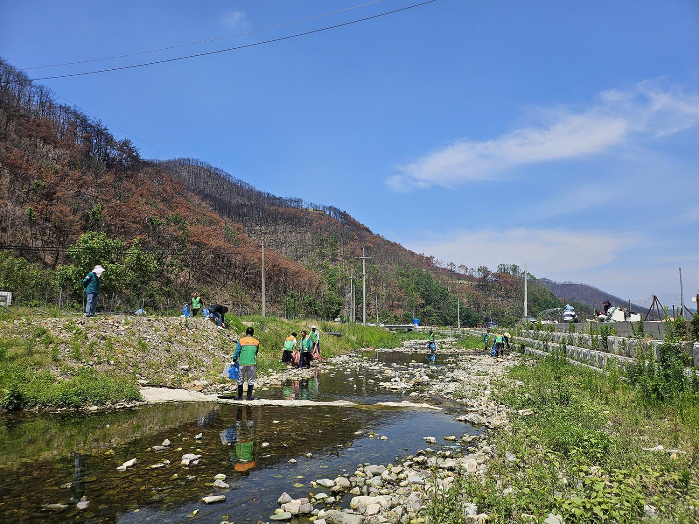 0527 남선면 자율방재단, 신흥소하천 환경정비 실시! (1).jpg